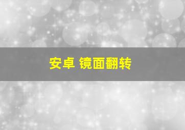 安卓 镜面翻转